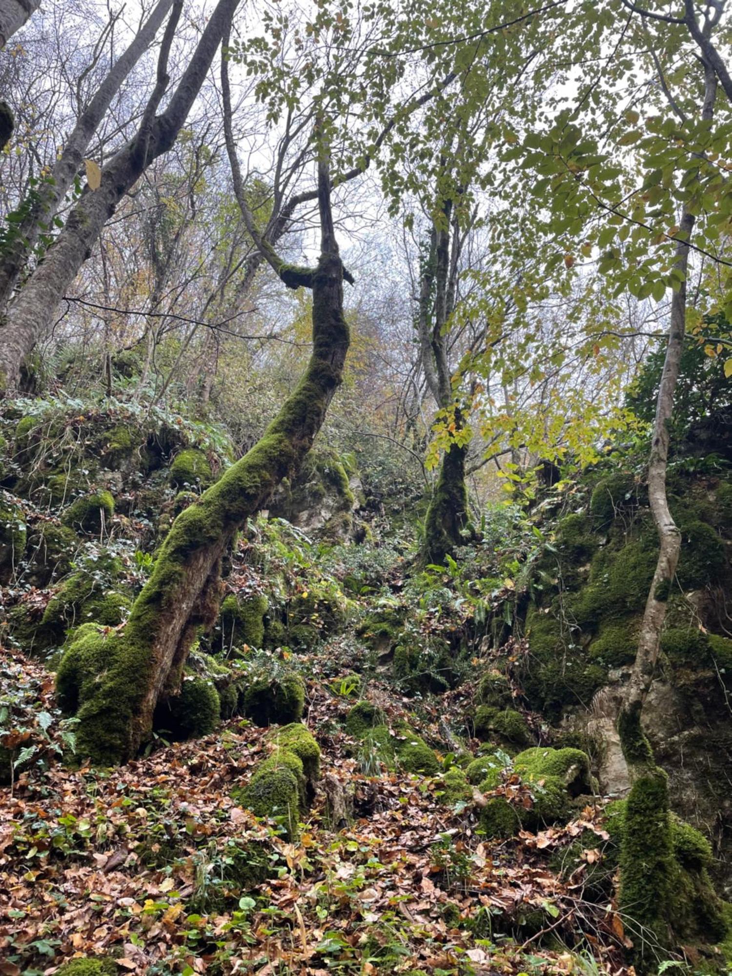 Mooie Bungalow In De Prachtige Natuur Hastiere-par-dela Bagian luar foto